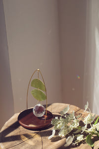 LUMEN suncatcher